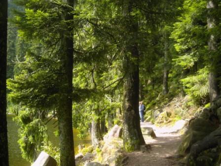 Mummelsee on an easy hike in the Blackforest Westweg "Mummelsee"
