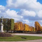 "Tree soldiers in the gardens of St Germain en Laye in Paris"