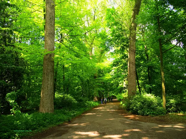 Optimistisch Aankondiging Publiciteit Walk in Rotterdam Kralingse Bos - Walking Holidays | easy hiker