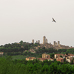 thumb gimignano