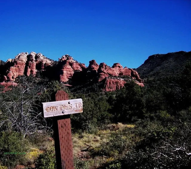 "Sign saying Cowpie's Trail in Sedona"