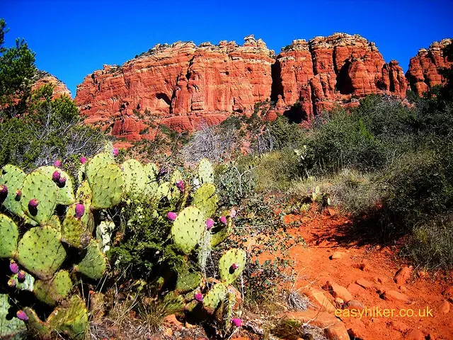 "Cow Pies trail in Sedona"