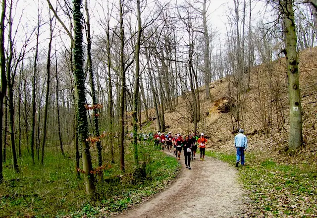 "Eco trail running participants running through the hiking trail in Versailles near Paris"