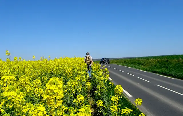 "Through the rapeseed field in the Paris boondocks of Santeuil"
