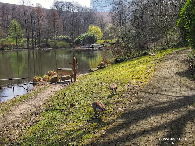 "a lake in Gruga Park in Essen, Germany"
