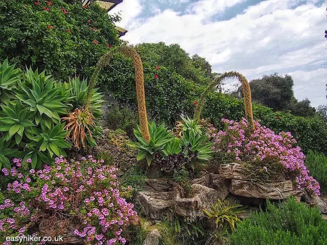 "exotic plants in Hanbury, the greatest of all Riviera garde"
