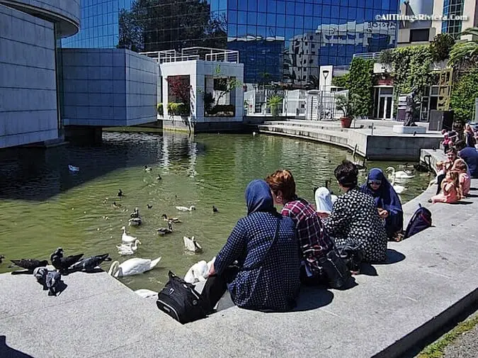 "feed ducks - How to Spend the Hours Before Your Flight from Nice"