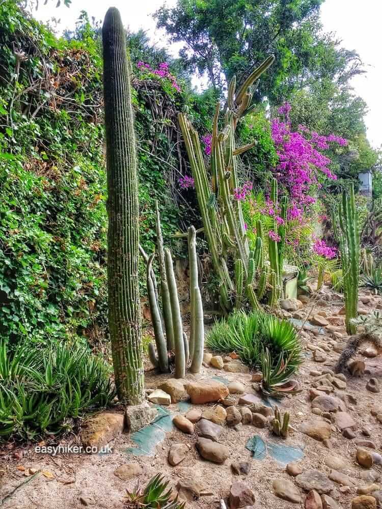 "Parc du Mugel Pudding and a Tropical Paradise"