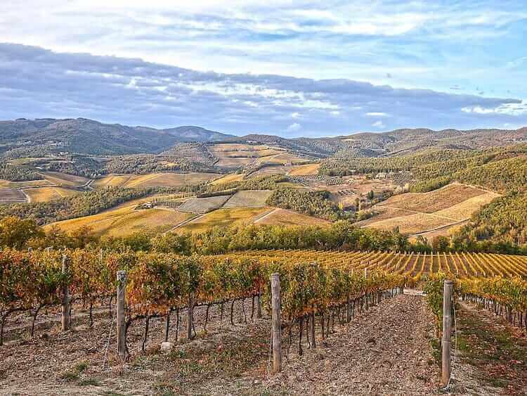 Fine Wines and Fine Views of the Langhe