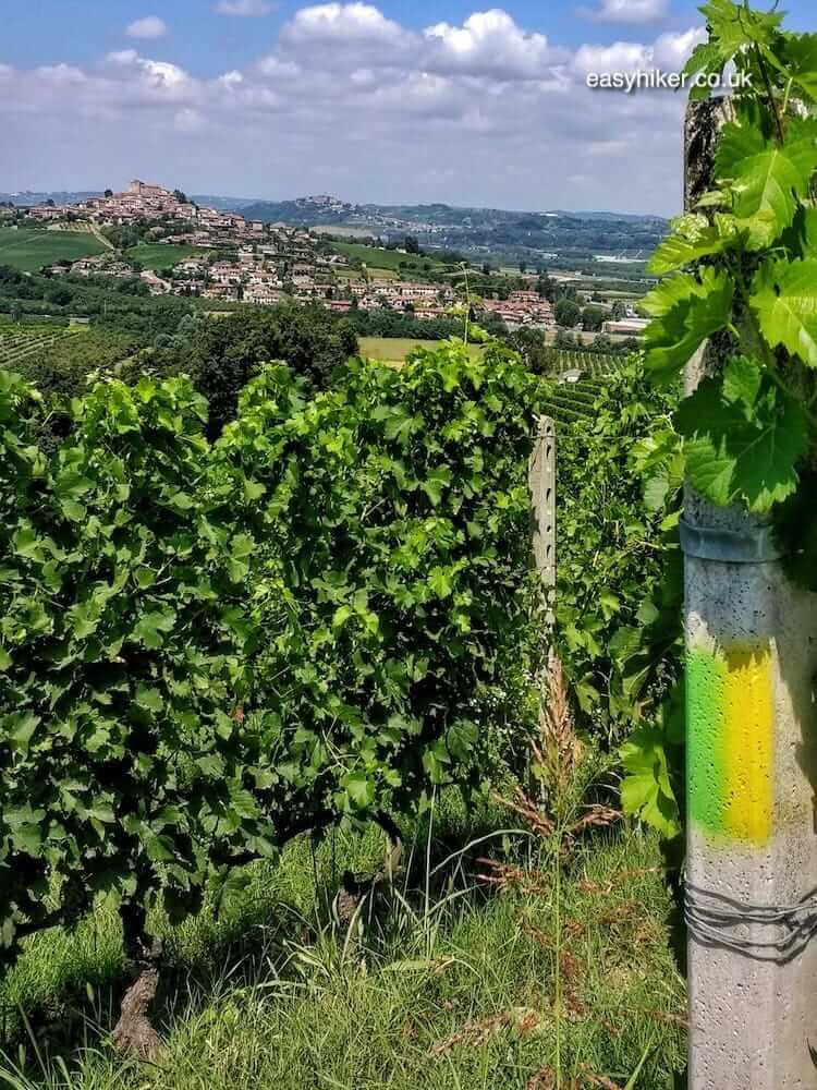 Fine Wines and Fine Views of the Langhe