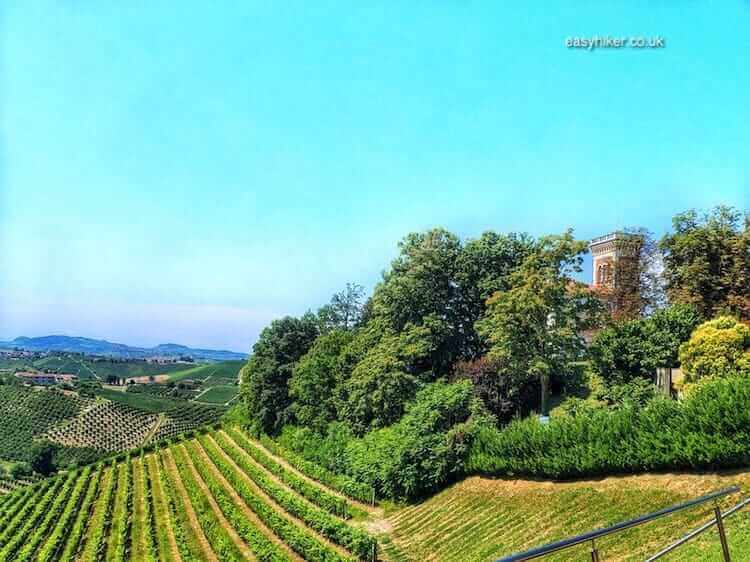 Fine Wines and Fine Views of the Langhe