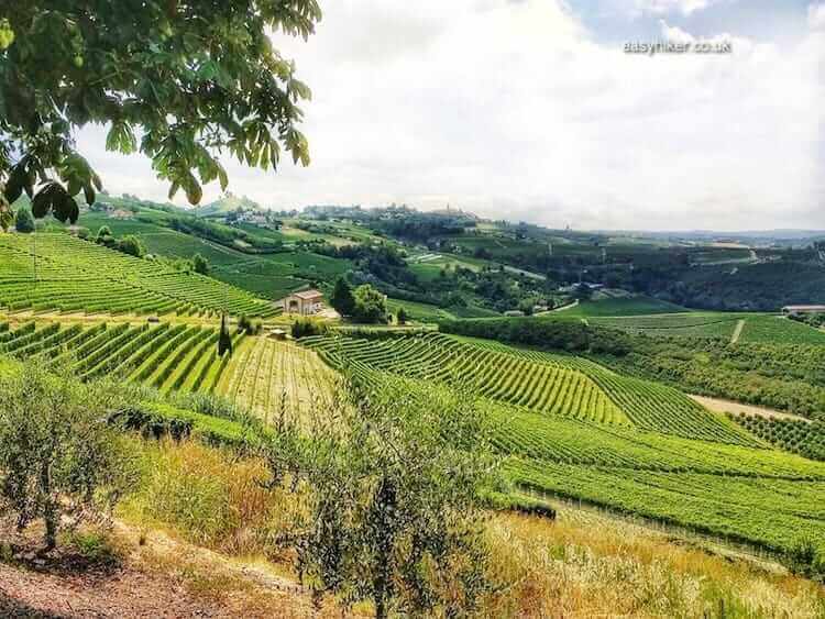 Fine Wines and Fine Views of the Langhe