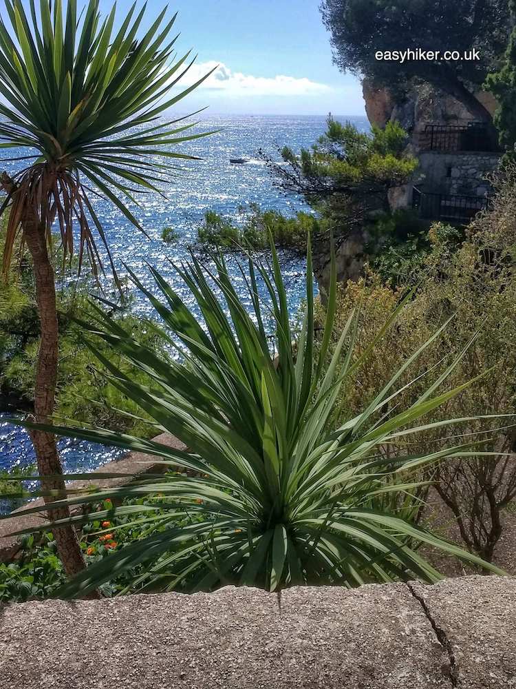What Not to Do in Monaco