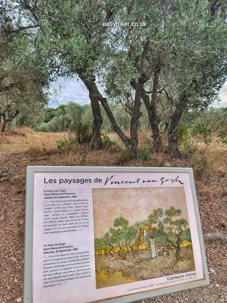 van Gogh Trail in Saint-Remy-de-Provence