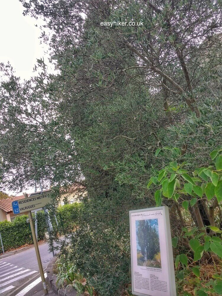 van Gogh Trail