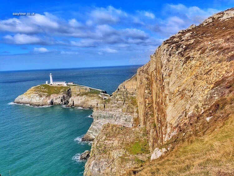 Cherry-Picking on the Wales Coastal Path in Anglesey