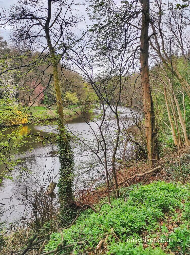 The Durham Riverwalk