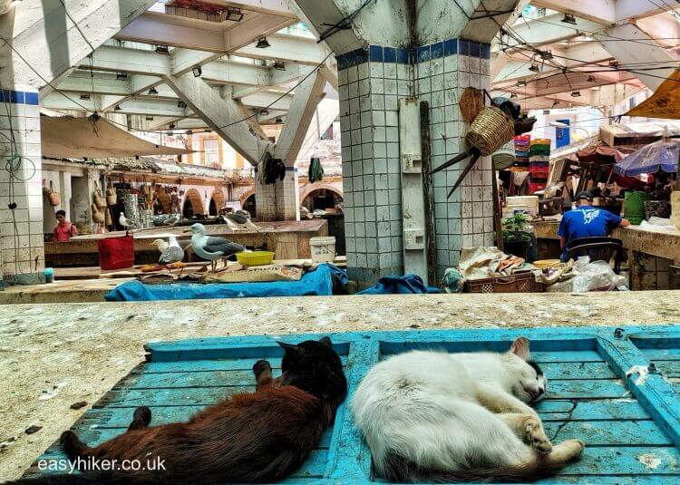 Essaouira