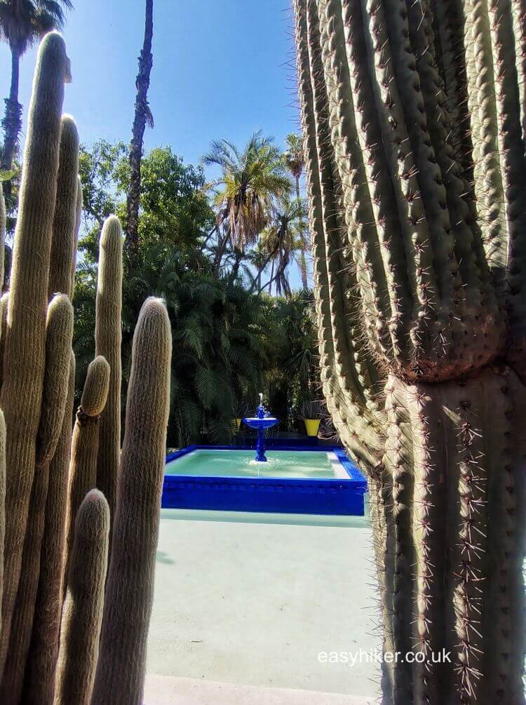 The Gardens of Marrakesh