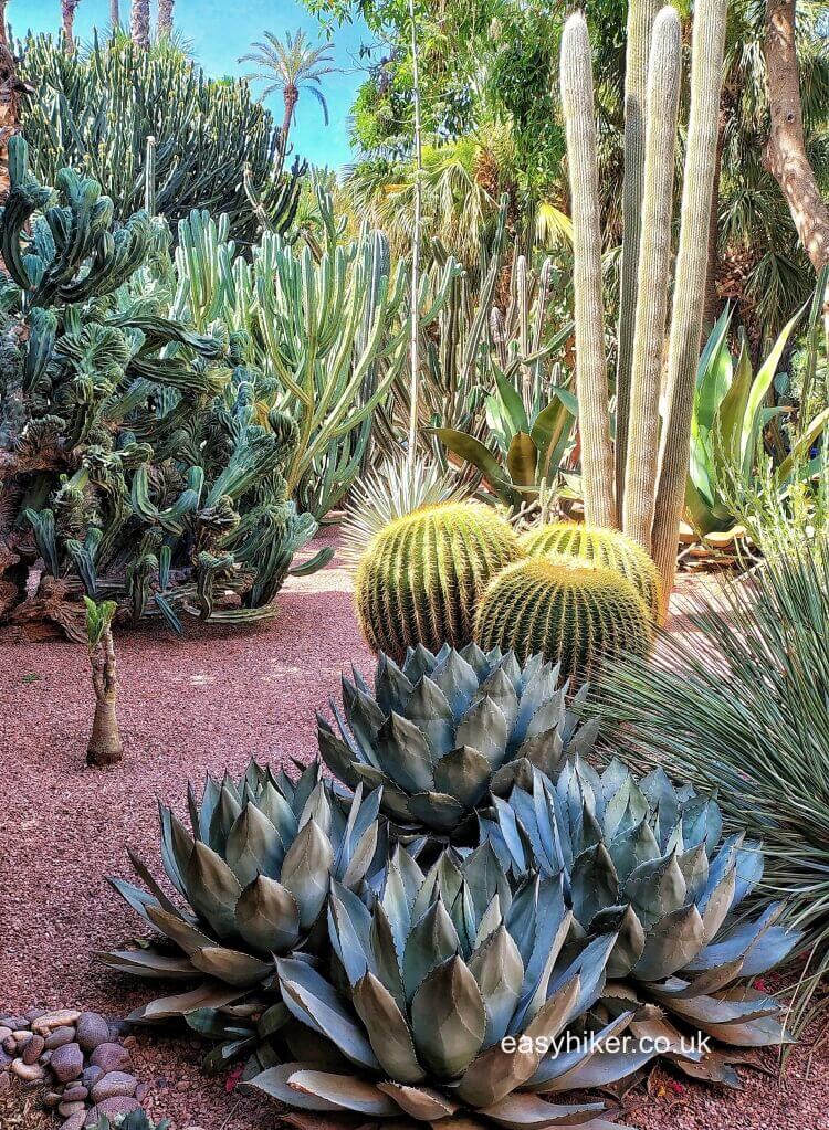 The Gardens of Marrakesh