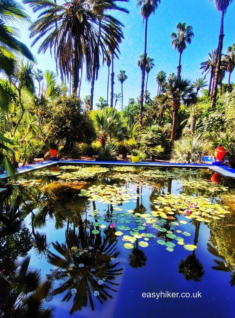 The Gardens of Marrakesh