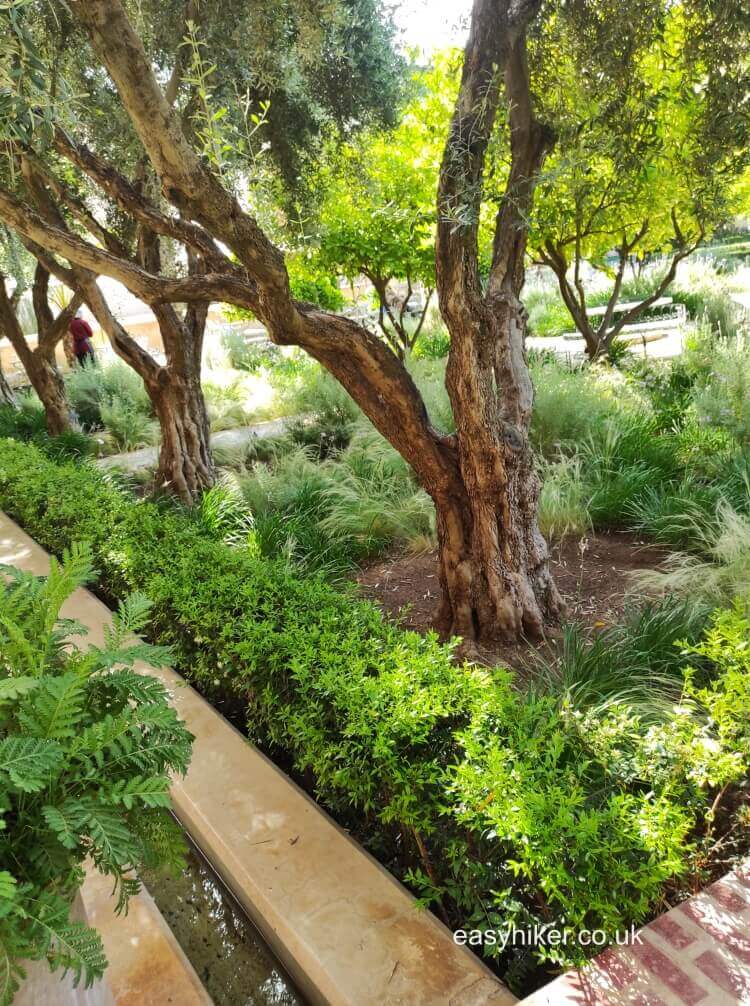 The Gardens of Marrakesh