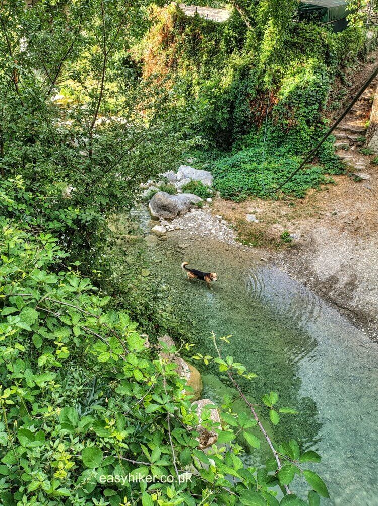 Rocchetta Nervina