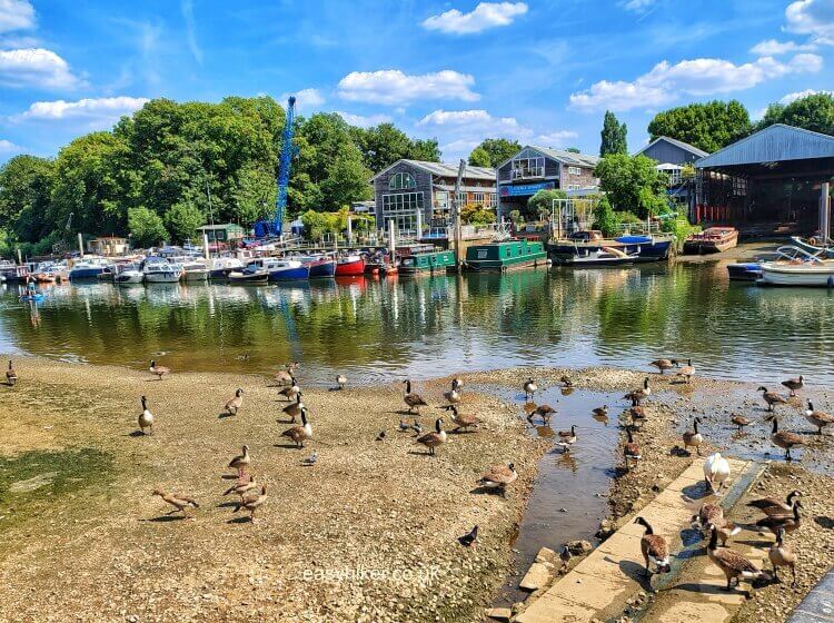 The Naked Ladies of Twickenham